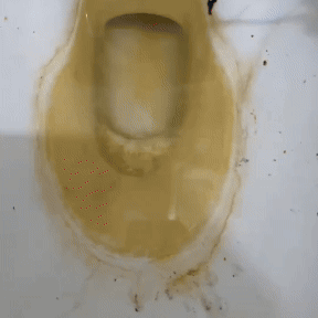 ESPUMA SARRO CERO PRO (COD)