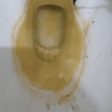 ESPUMA SARRO CERO PRO (COD)